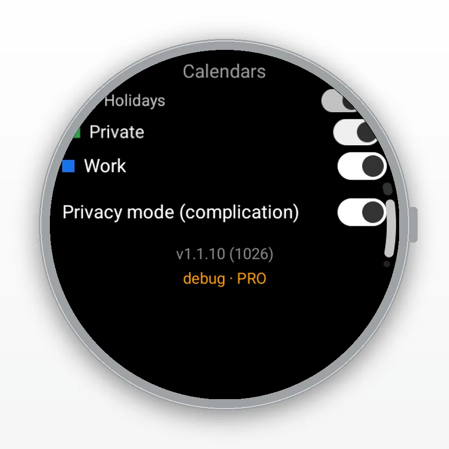 Privacy mode toggle for the complication in the Pro tier